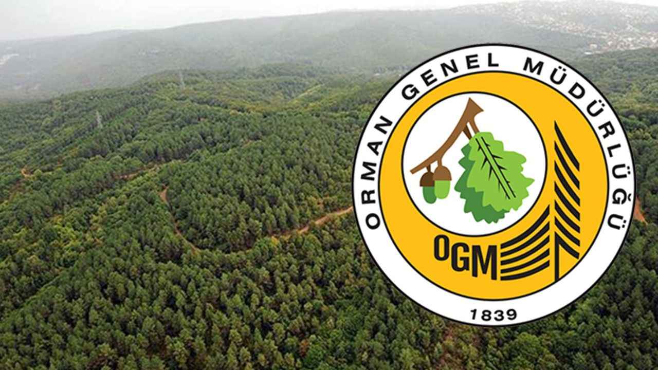 Orman Genel Müdürlüğüne Memur ve Mühendisi alım ilanı yayınladı....