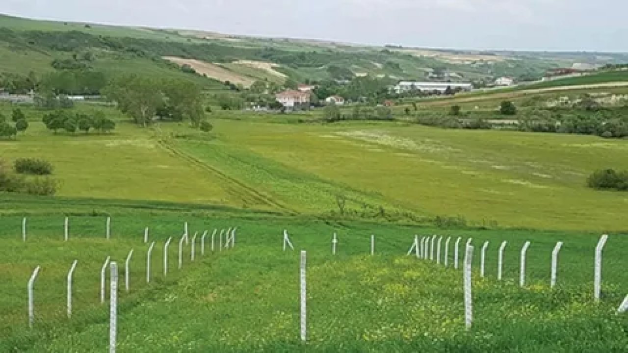 Para kazanmanın yolu arsa ve tarla yatırımları: İşte kazanç sağlayan şehirler!