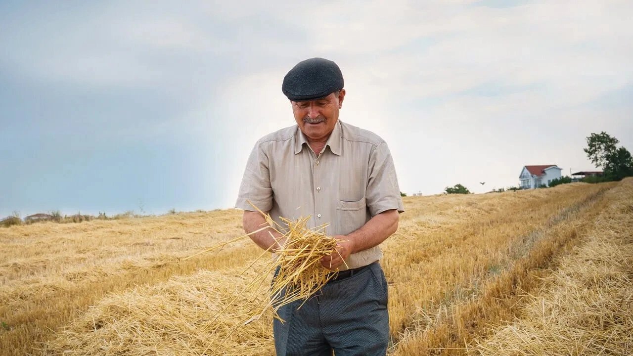 Çiftçilere büyük destek: Tohum, gübre, ilaç ve yemde faizsiz satış…